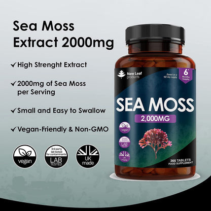 New Leaf | Sea Moss Tablets 365 (Larger Fill)